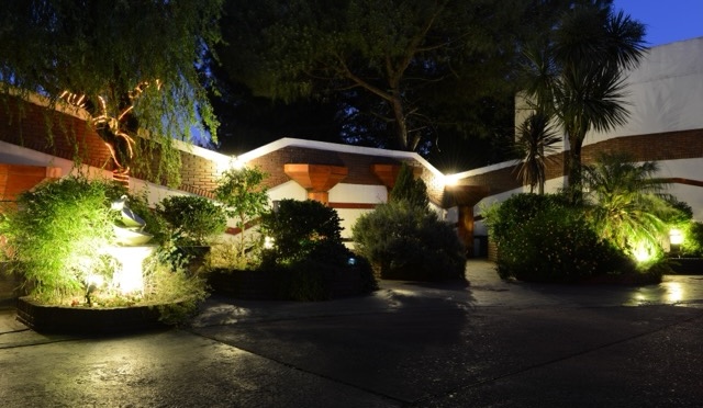 DSC_0317 de tamaño mediano